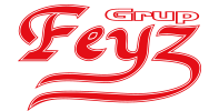 Feyz Grup
